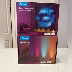 Govee smart light - Google home Alexa compatible